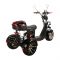 Электроскутер трехколесный CityCoco SkyBoard Trike BR60-3000 PRO